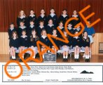 7 Orange